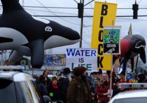 A protest featuring a giant orca whale and the sign "water is life"