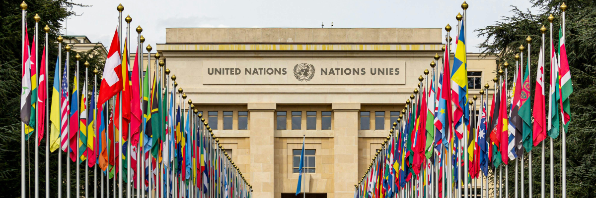 We Have Been Failed. Let Us Not Resign.